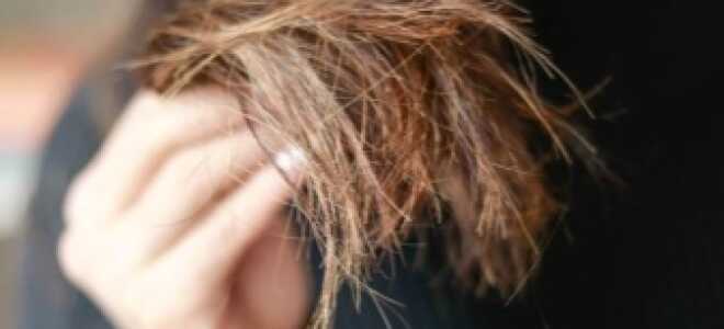 Сухие и ломкие волосы: причины. Как восстановить тусклые и очень сухие волосы в домашних условиях? Чем увлажнить после окрашивания?