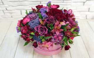 Как ухаживать за цветами в шляпной коробке?