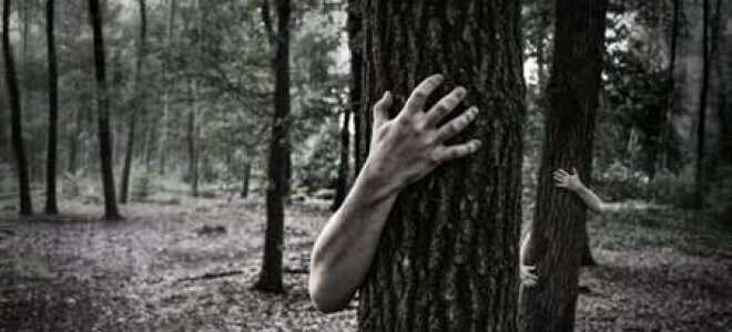 Как побороть свои страхи: чего мы боимся и как от этого избавиться