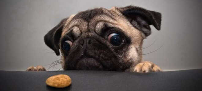 Как развить силу воли и укрепить характер?